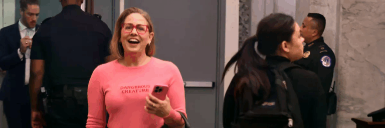 ‘Cartoon Villain’ Ex-Senator Kyrsten Sinema Now Shilling for Big Tech’s Power-Sucking AI Data Centers