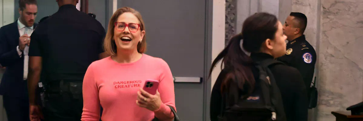 'Cartoon Villain' Ex-Senator Kyrsten Sinema Now Shilling for Big Tech's Power-Sucking AI Data Centers